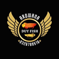 Duy Fish