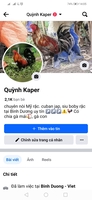 Quỳnh kaper 