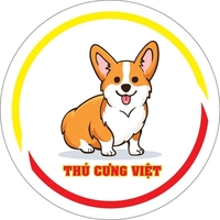 Thú Cưng Việt