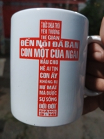 Hồ cá sỉ lẻ 