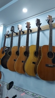 SHOP GUITAR DANH NGỌC 