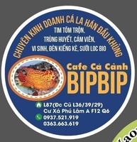 cafe cá cảnh bipbp