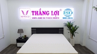 THẮNG LỢI COMPANY