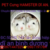 PET CƯNG HAMSTER Dĩ AN