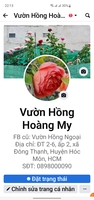 Vườn Hồng Hoàng My