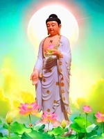 trần nguyên hùng 