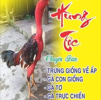 hùng tộc