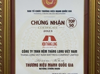 Cty Nệm Thăng Long