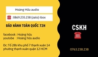 hoàng hữu audio