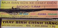 Xe Điện Giá Kho