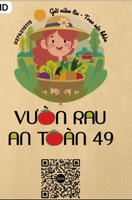 Vườn rau an toàn 49