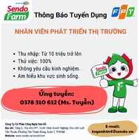 Tuyền Hà Thị Ngọc