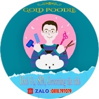 GOLD POODLE nhận spa cắt tỉa lông cún tại nhà khách