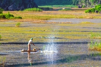 NGUYỄN NGỌC ANH MINH