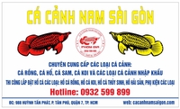 Cá Cảnh Nam Sài Gòn