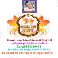 Nguyễn Đức Anh