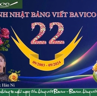 BẢNG VIẾT BAVICO