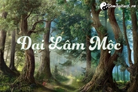 Đại Lâm Mộc Q3