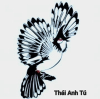 Thái Anh Tú