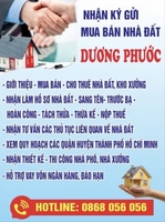 MR Phước