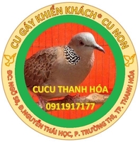 Trần Mạnh Tùng