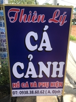 Cá Cảnh Thiên Lý