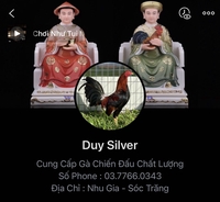 DUY SILVER