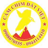 Cám Chim Đất Việt