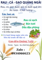 GẠO CÁ QUẢNG NGÃI