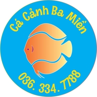 Cá cảnh ba miền SG