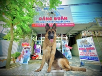 Pet Shop Đăng Quân