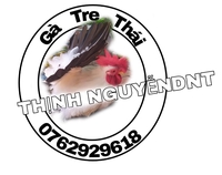 Thịnh NguyễnDnt