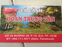 Tân cá cảnh