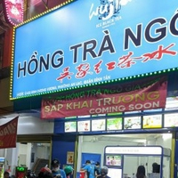 Hồng Trà Ngô Gia